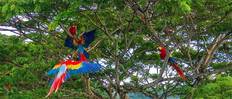 The Magic of Rain: 5 Reasons to Visit Costa Rica during the Green Season