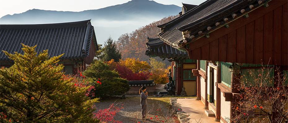South Korea’s Travel and Tourism Sector Set to Reach New Heights in 2024