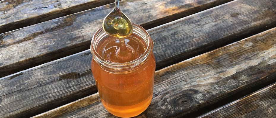 On the Trail of Anatolia's Most Delicious Honey