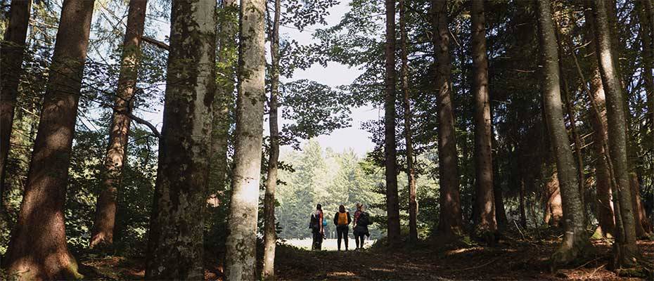 Woche der Nachhaltigkeit im Allgäu, zweite Auflage