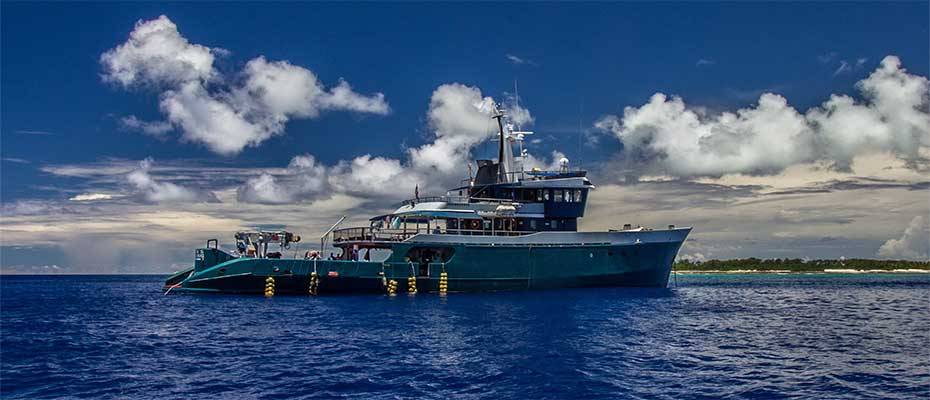 Expeditions-Kreuzfahrt: Bird Watching auf den Seychellen