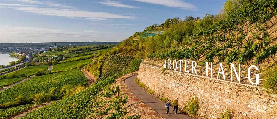 Neues Management für die Dachmarke Rheinhessen