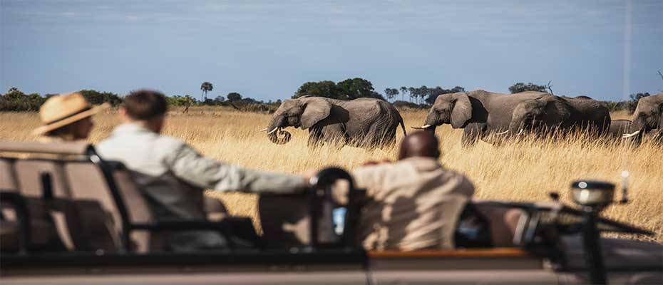 Wiedereröffnung: Wilderness Tubu Tree und Little Tubu in Botswana