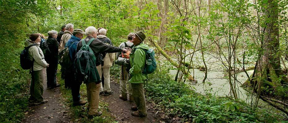 Genusswandern in Deutschlands unberührter Wildnis