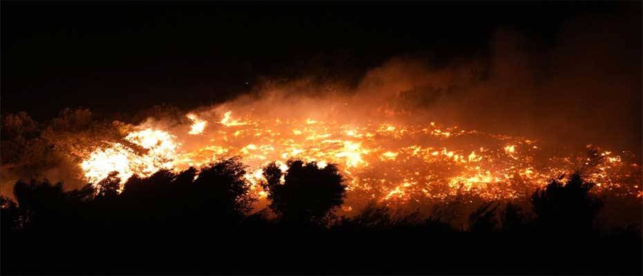 Firefighting efforts intensify as forest fires rage in Türkiye's western provinces