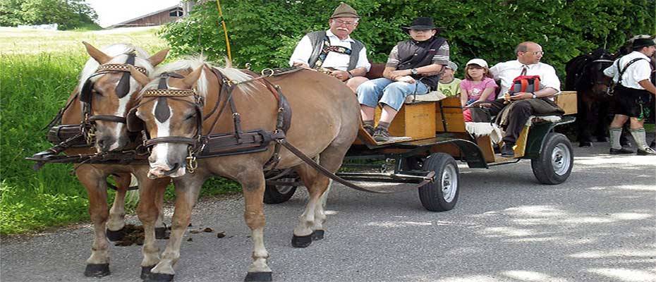 Herbsttouren an der Romantischen Straße: Von Feuchtwangen über Wallerstein bis Rottenbuch 