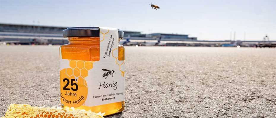 25 Jahre Hamburger Flughafen-Bienen