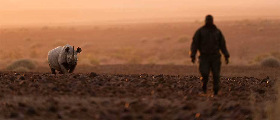 Wilderness eröffnet Desert Rhino Camp in Namibia