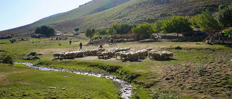 Explore the ‘Efeler Way’ in İzmir: the latest hiking trail linking authentic villages