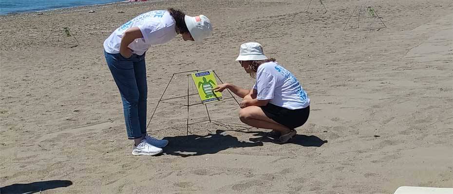 Otellerin sahillerine yuva yapan caretta carettalara 5 yıldızlı hassasiyet