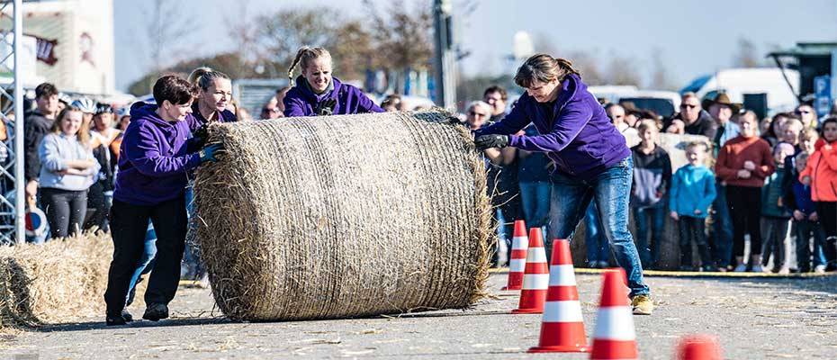 Ostfriesische Strohballen Rollmeisterschaft