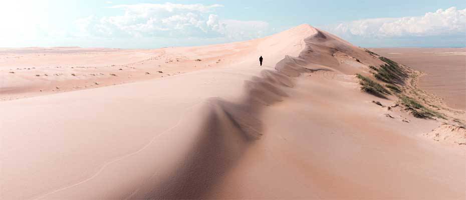 Saskatchewans Athabasca Sand Dunes Provincial Park