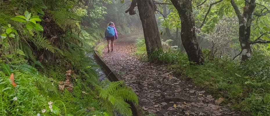 Neue Wege, neue Erlebnisse: Madeiras Schätze abseits des Mainstreams 