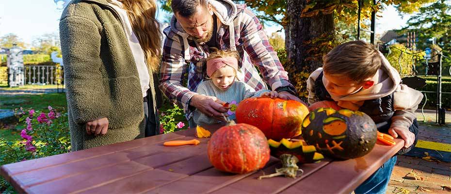 Mecklenburg-Vorpommern. Halloween im Wasserschloss und Pinguin-Workshop im Ozeaneum 