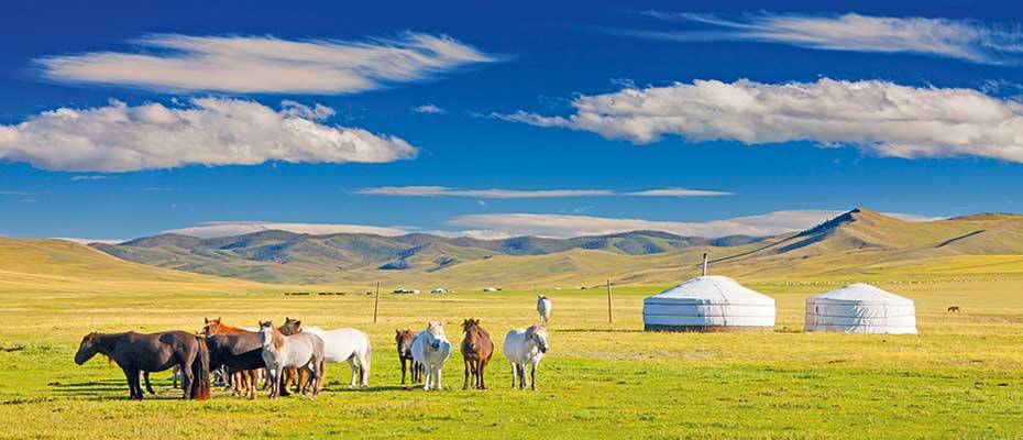 Mit trendtours die Weite der Mongolei entdecken