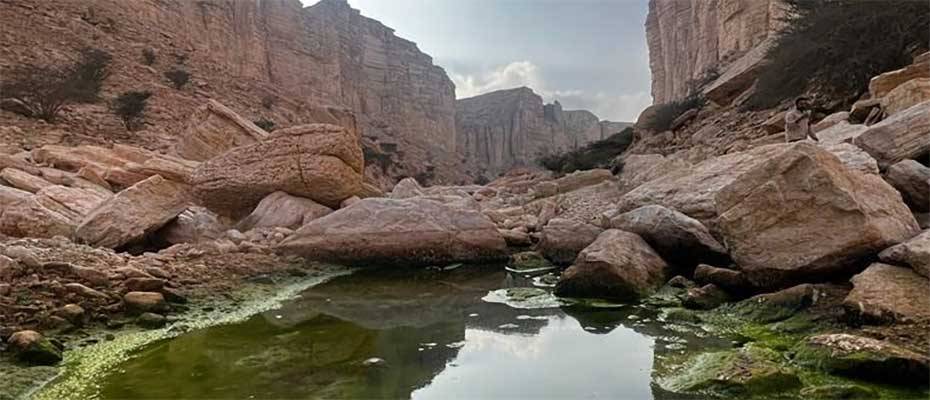 First Saudi Protected Area Listed on IUCN Green List 