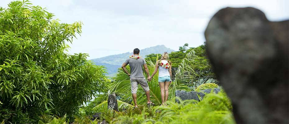 Das grüne Paradies – Die Artenvielfalt auf den Inseln von Tahiti