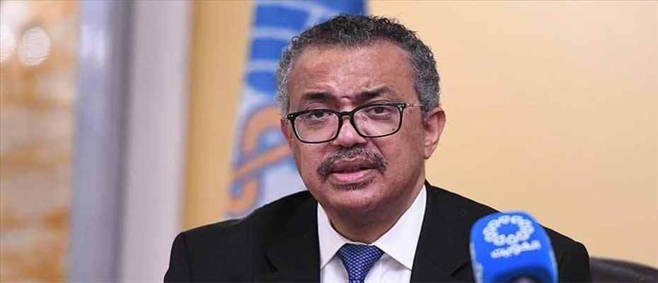 WHO chief certifies Egypt as malaria-free