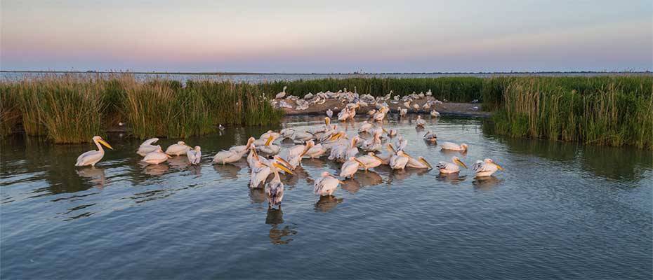 Thurgau Travel Deutschland präsentiert 2025 neun exklusive Donau-Flussreisen