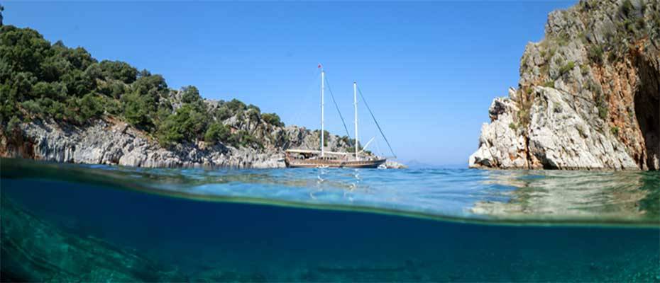 Dört mevsim dalış imkanı sunan Fethiye'nin su altı güzellikleri görüntülendi