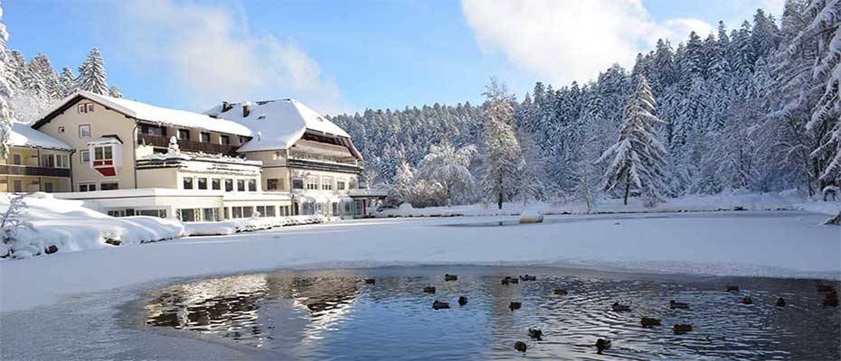 Erholung im Wald: Winterurlaub in Schwarzwälder Wellnesshotels