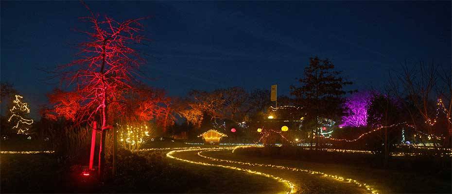 Helle Freude über Eröffnung des Weihnachtsmarkts im Barfußpark Friedeburg