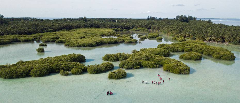 Six Senses Laamu erhält doppelte Auszeichnung für Meeres¬schutz¬initiativen 