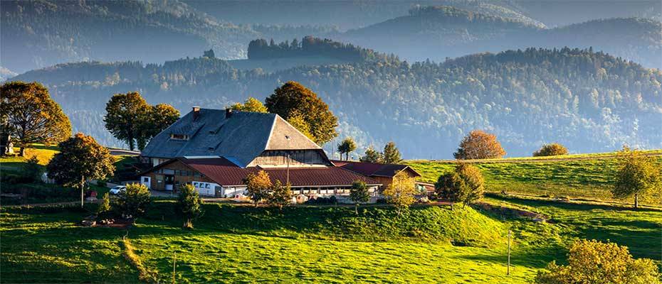 Beliebtheit des Schwarzwalds ist ungebrochen hoch