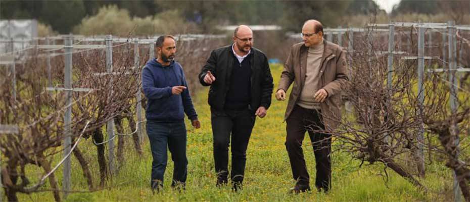 Buca, razakı üzümüyle agro turizmi hedefliyor