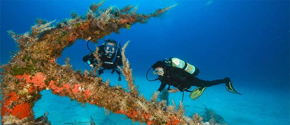 boot dive award bestätigt: Malta ist Nummer Eins zum Abtauchen