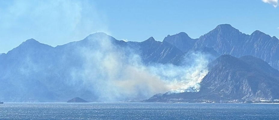 Antalya'da ormanlık alanda çıkan yangına müdahale ediliyor