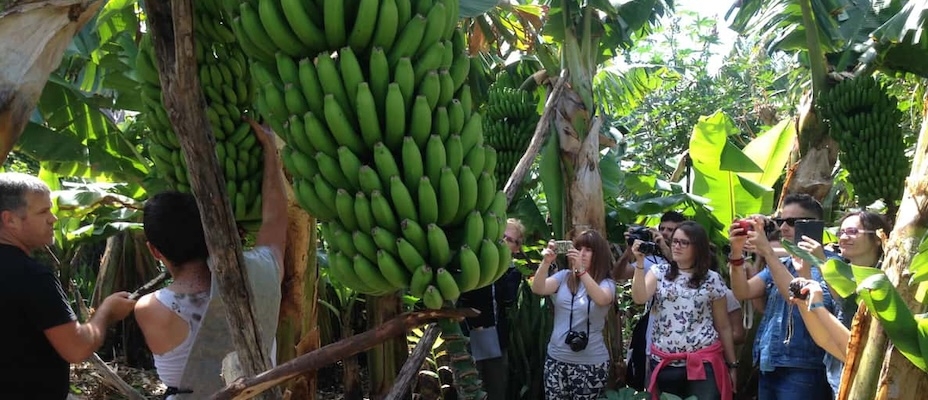 Kulinarische Erlebnisse auf der Vulkaninsel La Palma