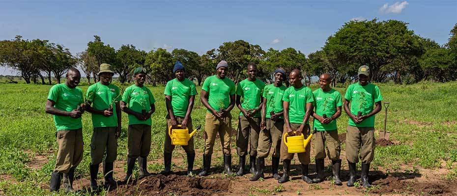 TUI Care Foundation erweitert Waldprojekte auf Sansibar und Gran Canaria sowie in Kenia