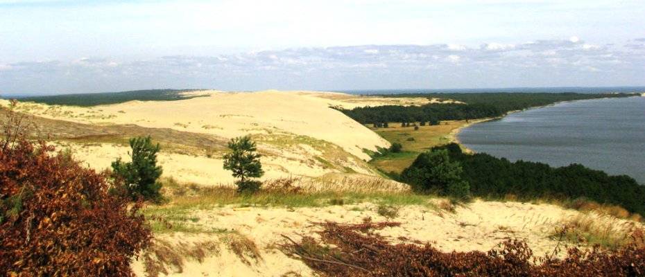 Куршская коса – природное чудо между морем и заливом