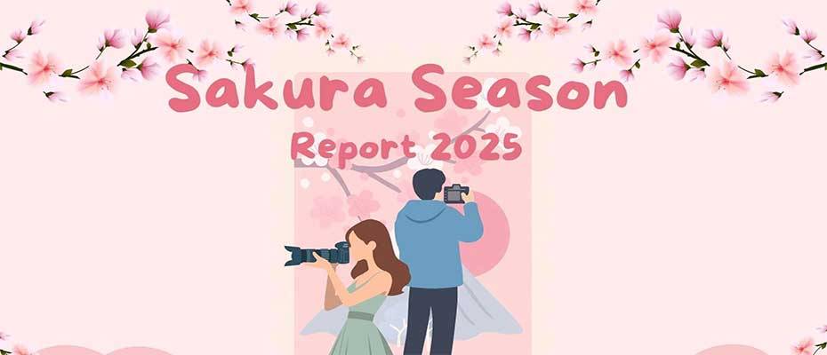 Sakura Beyond the Crowds: Lesser-known Cities Shine in Cherry Blossom Season 2025