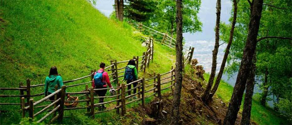 Brixen-Südtirol: Wald für alle Sinne