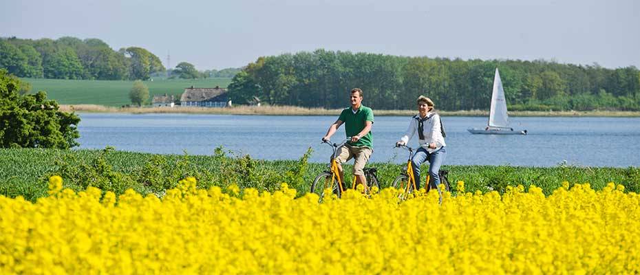 Ostseefjord Schlei: Von Rapsblüte bis Osterspaziergang am Meer 