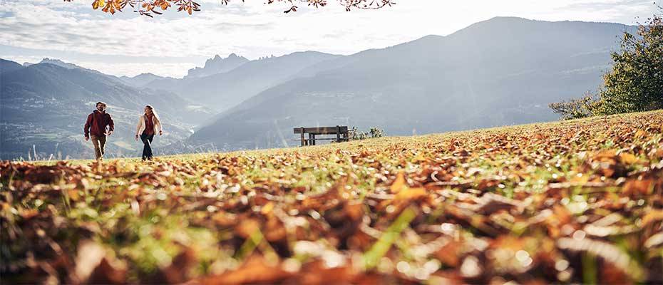 Sommerfrische in Brixen: Gipfel, Genuss und Geschichten - Lesen Sie die Nachrichten