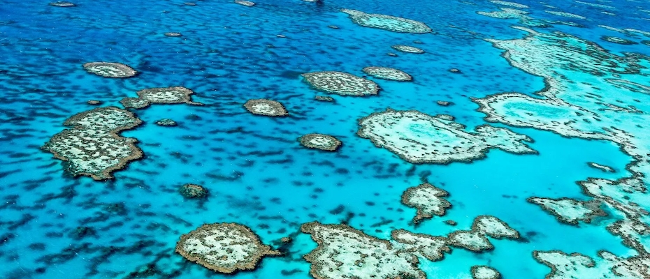 Australia’s travel and tourism sector set to reach record $315BN in 2025