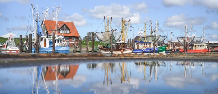 Fedderwardersieler Meile mit Kirmes und Kunsthandwerkern