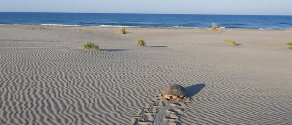 Akdeniz’in incisi Patara eylem planı ile korunacak - Haberi Oku