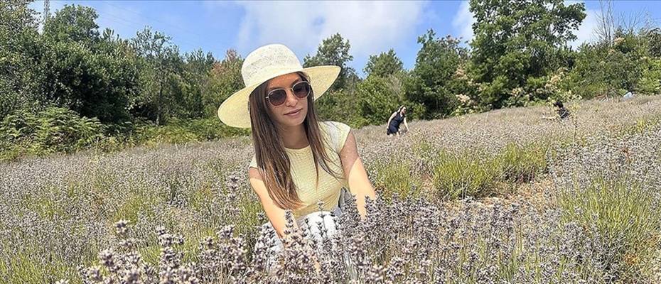 Kastamonu'da turizmcinin atıl tarlasına kurduğu lavanta bahçesinde hasat şöleni yapıldı - Haberi Oku