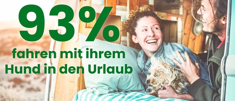 Die beliebtesten Reiseziele für Hundehalter - Lesen Sie die Nachrichten