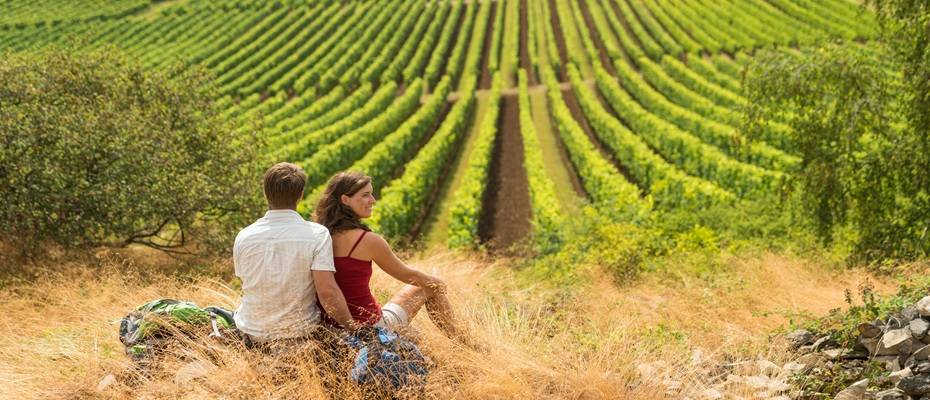 Herbstwanderung in Rheinhessen – Goldene Aussichten auf der Hiwweltour ‘Heideblick’ - Haberi Oku?>