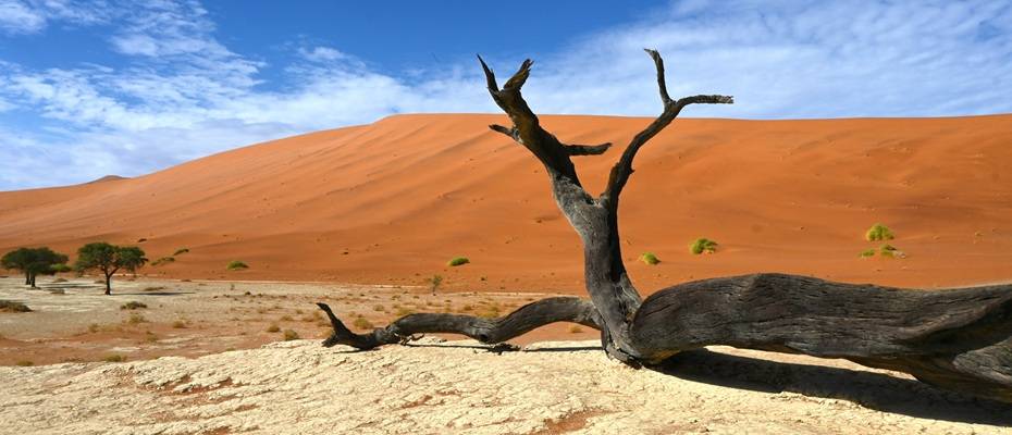 DIAMIR Erlebnisreisen lädt zum Namibia-Webinar am 4. September 2025 - Lesen Sie die Nachrichten