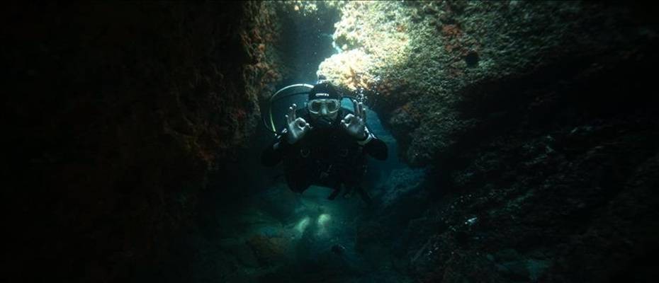 Oman’s Musandam Hosts First-Ever International Diving Festival - Read the News