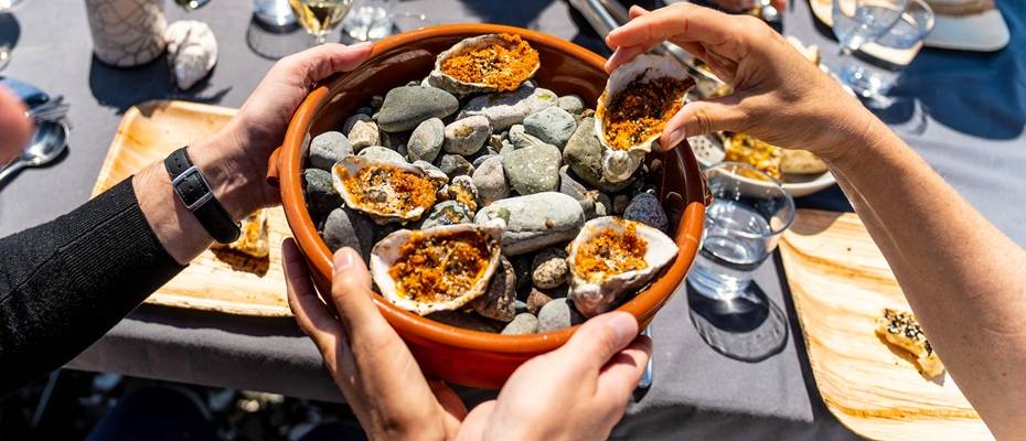 Herbst in Washington State: Lachs, Muscheln und Meer - Lesen Sie die Nachrichten