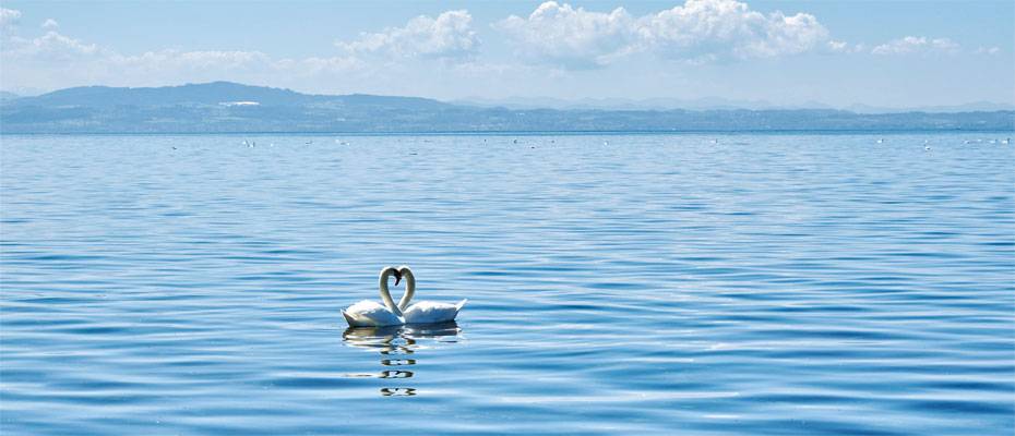Bodensee erneut zum beliebtesten See Deutschlands gekürt - Lesen Sie die Nachrichten