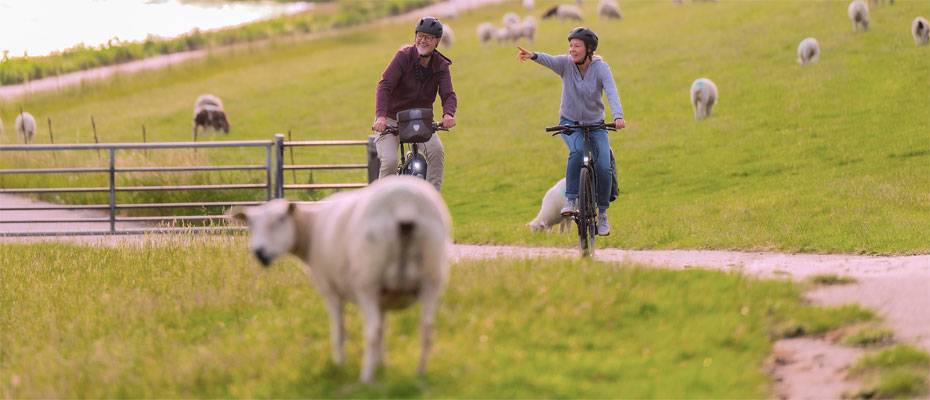 Holsteiner Radzeit: Mit dem Fahrrad durch den Herbst - Lesen Sie die Nachrichten