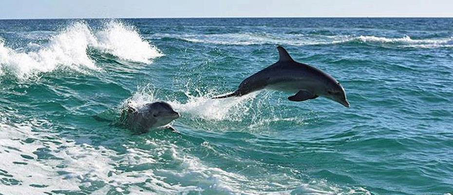 Panama City Beach: Zwischen Retro-Charme und Lifestyle-Trends